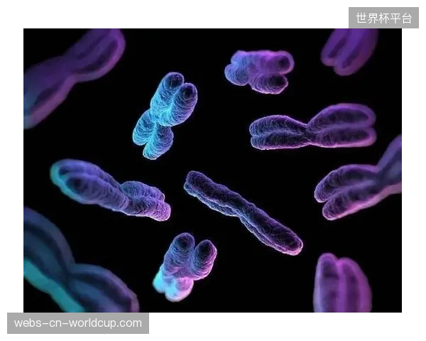 福斯特的英超对抗数据可被包装为“南非力量”的象征，吸引注重力量感的年轻男性观众。